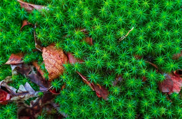 送领导升迁祝福语60句