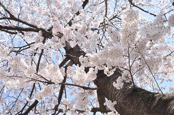2026建团100周年朋友圈祝福语