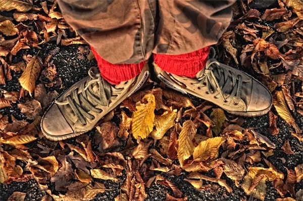 抖音奋斗高考祝福语录