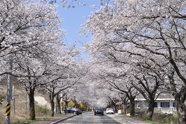 温馨暖心的生日祝福短信