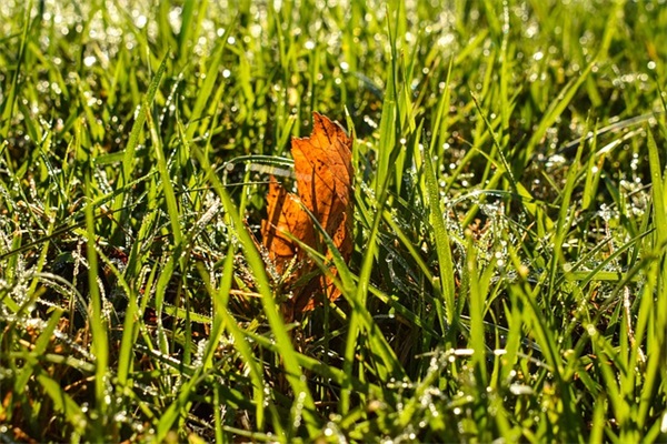 给领导的国庆节祝福语