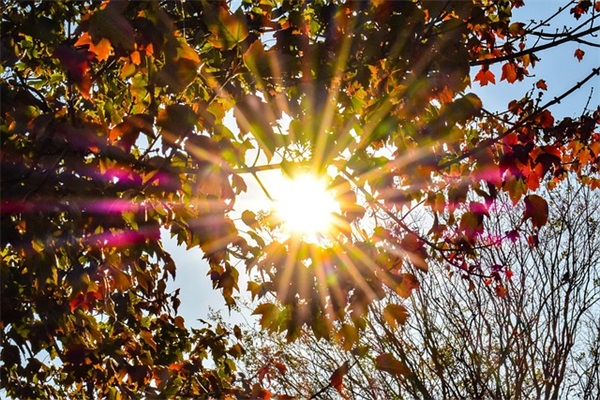 春节搞笑的短信祝福