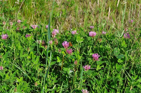 最短生日祝福语 5岁小朋友生日祝福语
