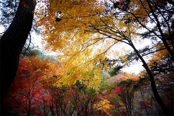 逢考必过祝福语2026简短收藏