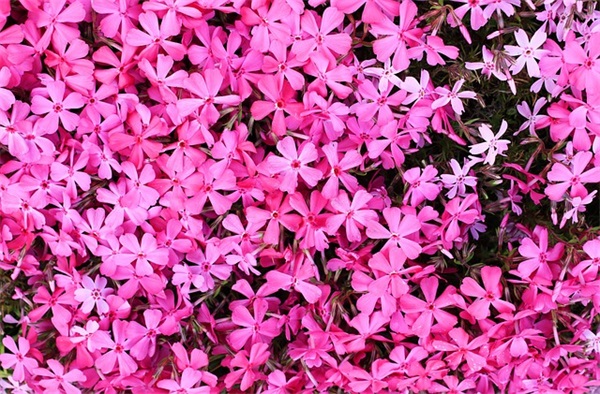 关于四月祝福语42句