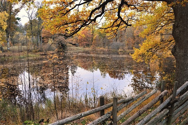 2026最新早上祝福语经典短信 早上好祝福语短信