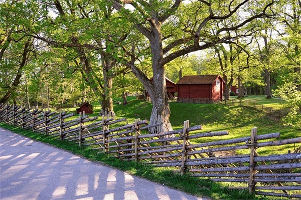 激励的生日祝福语46句