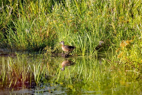 圆梦高考的祝福语