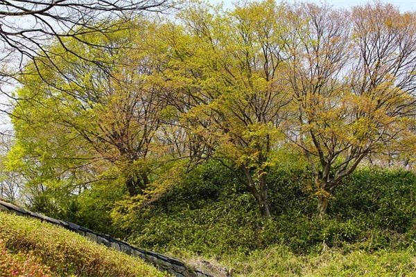 高中课外积累好句好段 高中积累好段摘抄大全