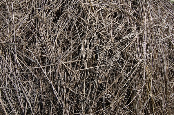 高中语文作文中的好句好段 高三作文佳句