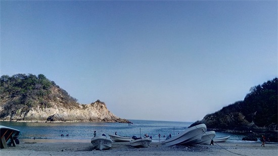 关于元旦快乐祝福语简短话2026年精选