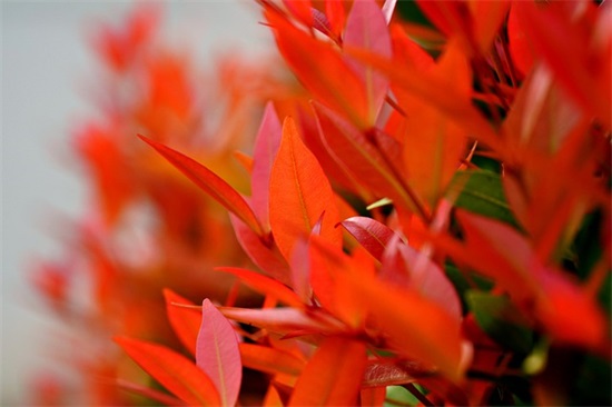 宝宝一周岁生日祝福语