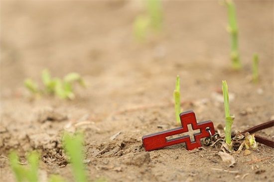 教师给孩子祝福语43句