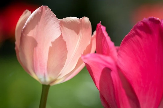 爸生日快乐祝福语 祝爸生日快乐祝福语简短