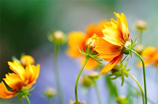 哥哥结婚搞笑祝福语30句