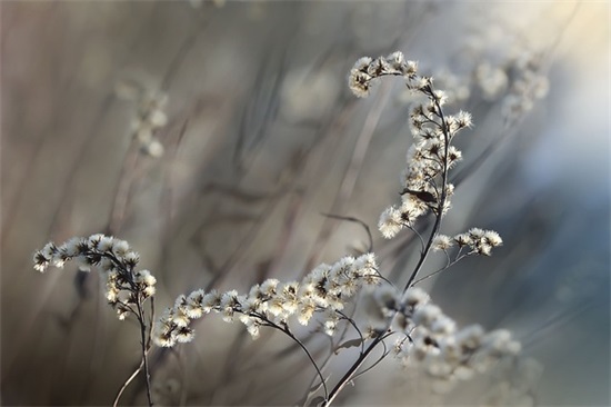 40岁生日祝福语 40岁男人简短生日祝福