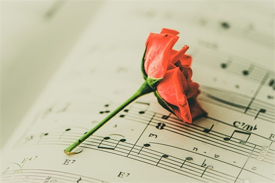 幼儿园毕业的祝福语 幼儿园毕业家长的祝福语