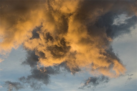 小学生的新年祝福语