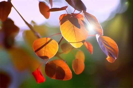 一句话简单的晒娃句子搞笑