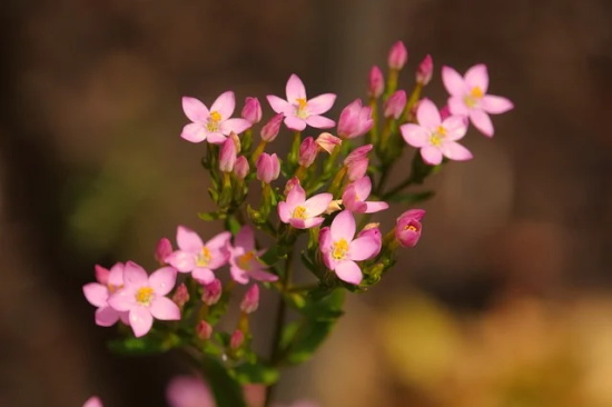 生活总是让人无奈心酸的话 对生活绝望的句子