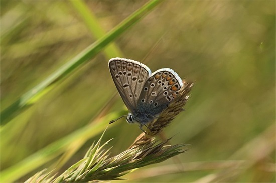 文艺的表白情话 女生表白男生最文艺句子