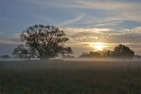 搞笑的句子,让人笑喷 搞笑的句子 让人笑喷