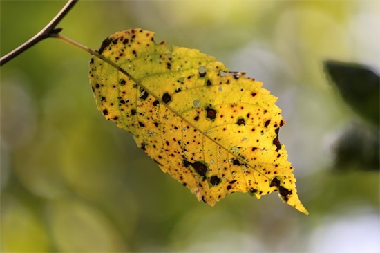 适合海边的简短句子 描写海边风景的句子