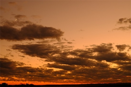 描述男人帅气的句子21句