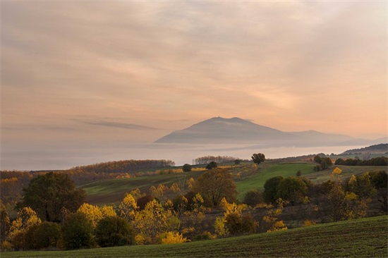 表示不信任的句子