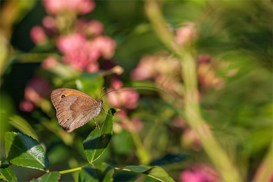三观超正无关爱情的温柔句子