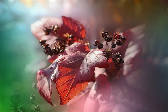 关于描述雨的句子 描写雨夜的优美句子