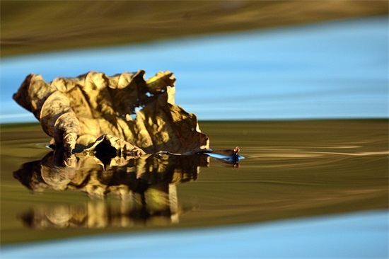 小朋友生日快乐祝福语暖心