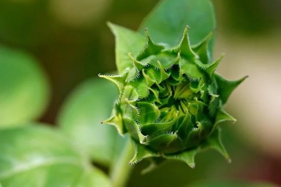 闺蜜生日祝福说说简短(闺蜜生日祝福语暖心感动)