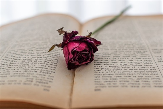 六月对朋友的祝福语29句