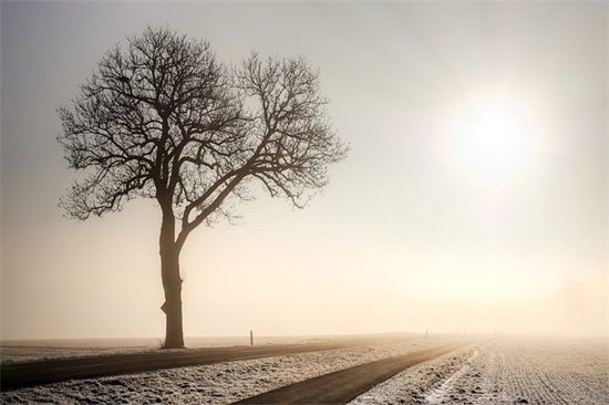 愚人节祝福语简短一句话 愚人节祝福语