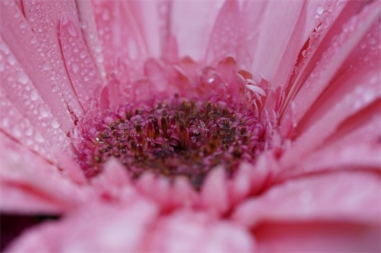 搞笑生日说说 搞笑生日祝福语