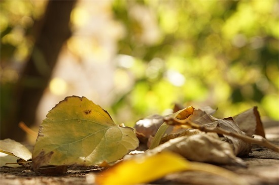 夸女生漂亮的俏皮话真实点的 夸少妇漂亮的句子