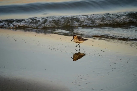 表达好学上进的句子 必须靠自己努力的句子