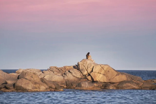 早安短句暖心的句子 问早安的句子 温暖短句
