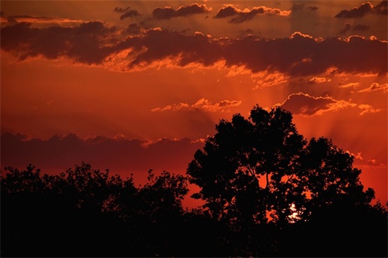被男人背叛的句子 被背叛的句子