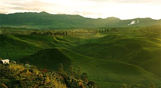 感悟快乐的优美句子