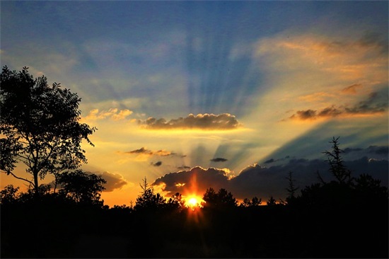 合适发抖音的句子巨甜 2026年适合发抖音的句子