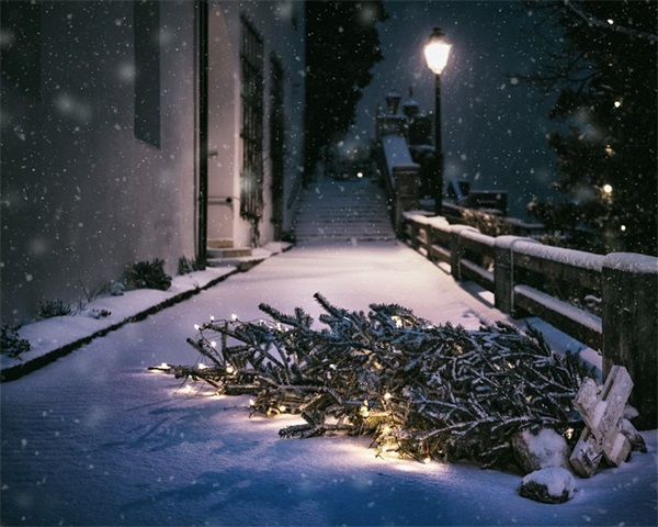 独特的带雪微信名字(129个)