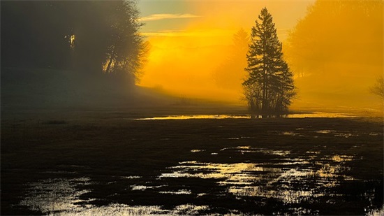 2026公司贺词祝福语