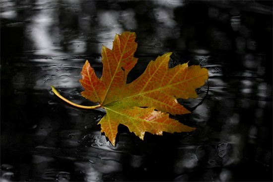 老师新婚祝福语 老师新婚 祝福