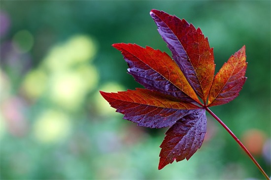 问候病人最温暖的话祝语短信(朋友感冒了关心祝福早日康复的句子)