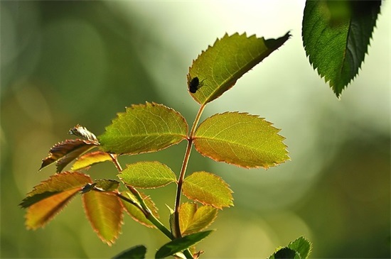 描写古建筑沧桑的句子 描写老建筑沧桑的句子