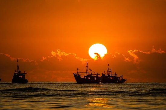 对感情伤心的句子