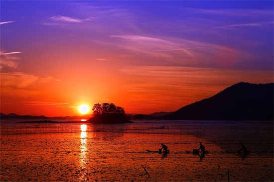 最浪漫的古风表白句子给女生