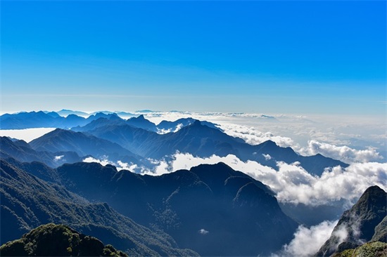 祝三八妇女节的好句子